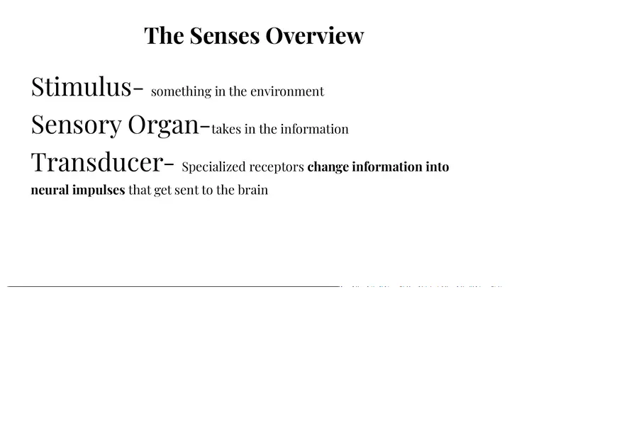 Unit 3 The Senses Overview - Page 1