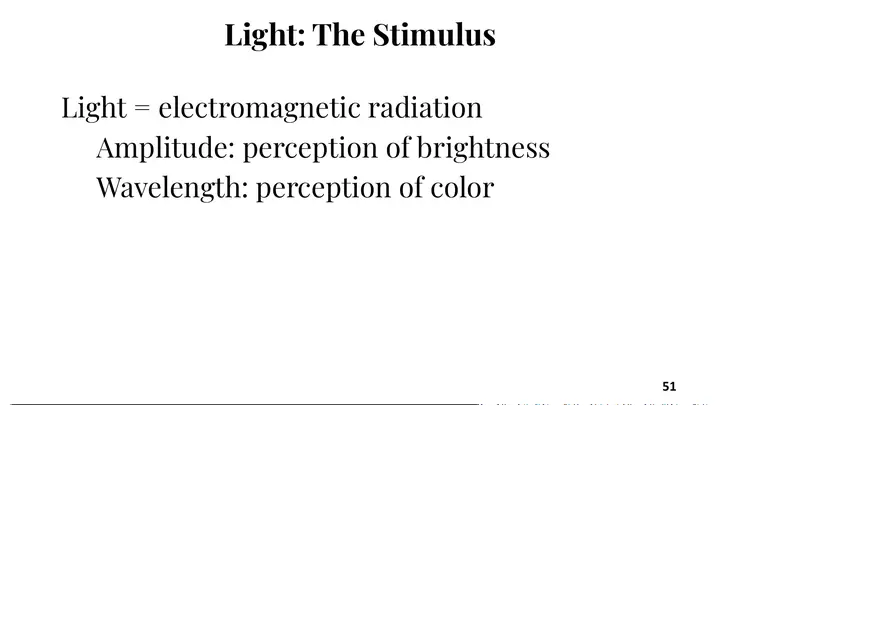 Unit 3 The Senses Overview - Page 3