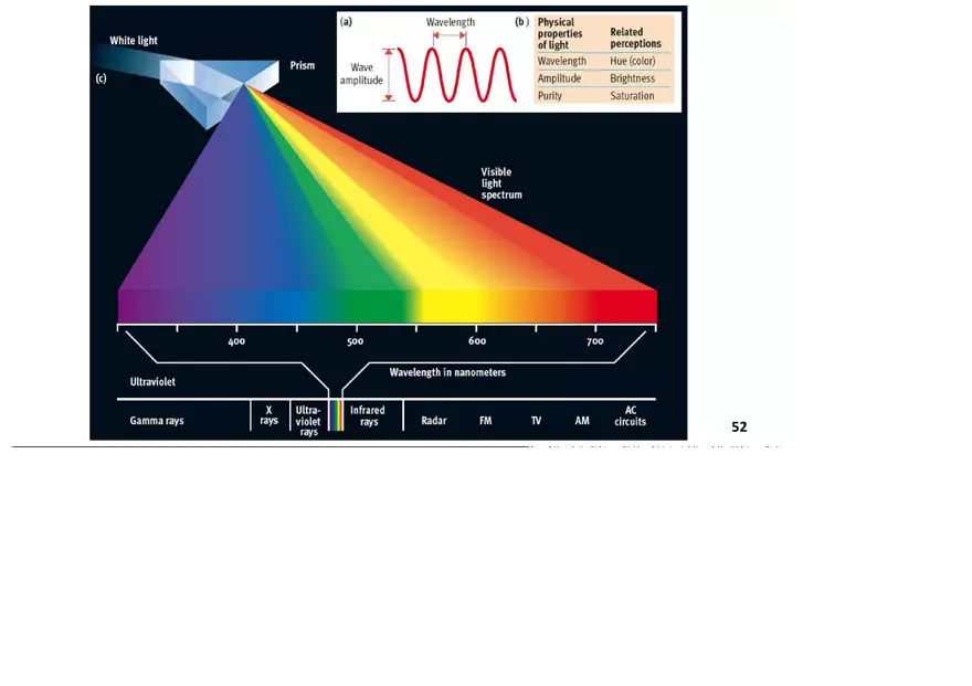 Unit 3 The Senses Overview - Page 4