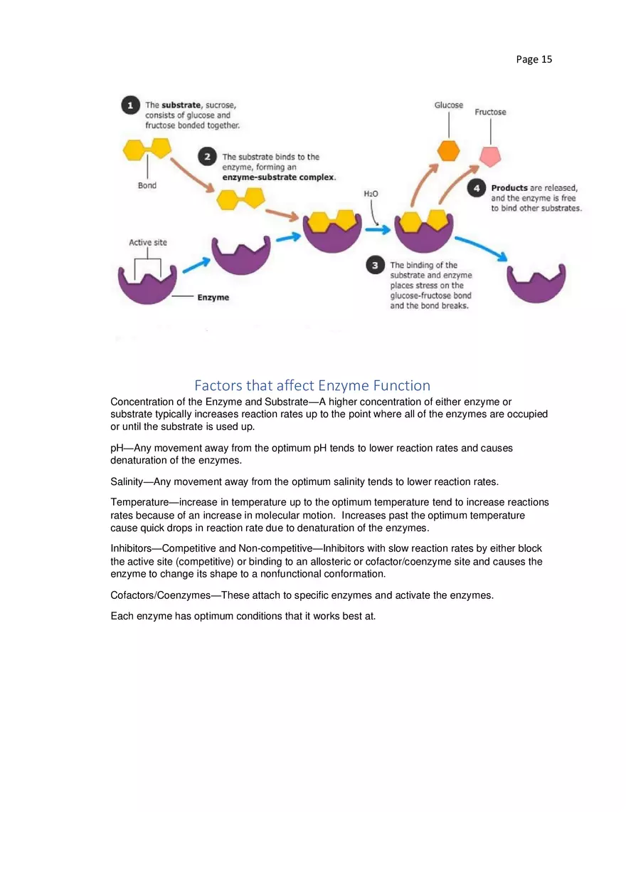 Biology Cheat Sheet - Page 7