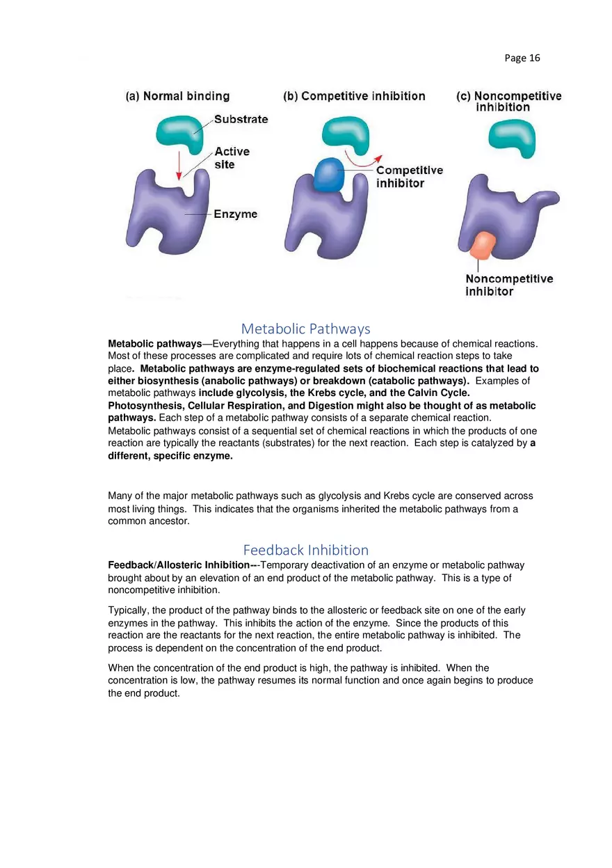 Biology Cheat Sheet - Page 8