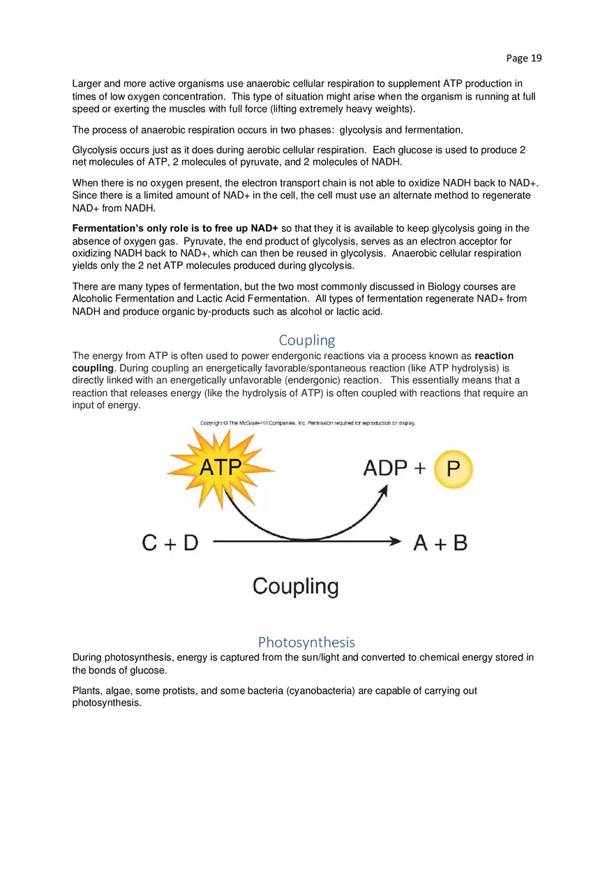 Biology Cheat Sheet - Page 11