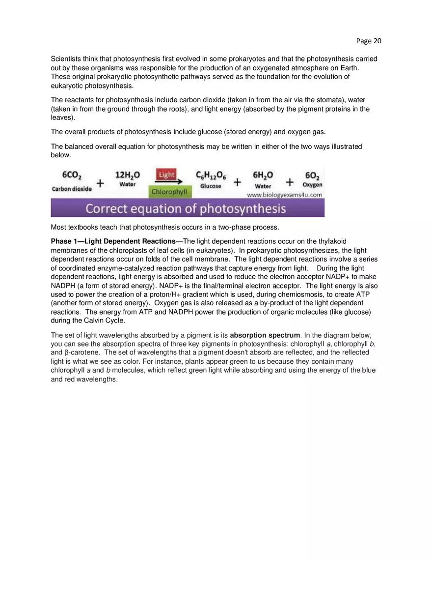 Biology Cheat Sheet - Page 12