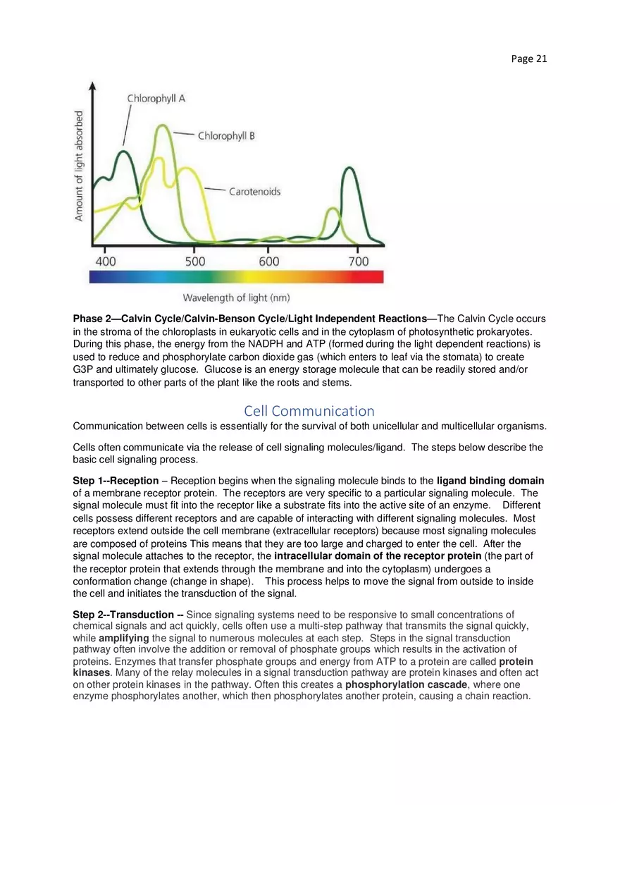 Biology Cheat Sheet - Page 14