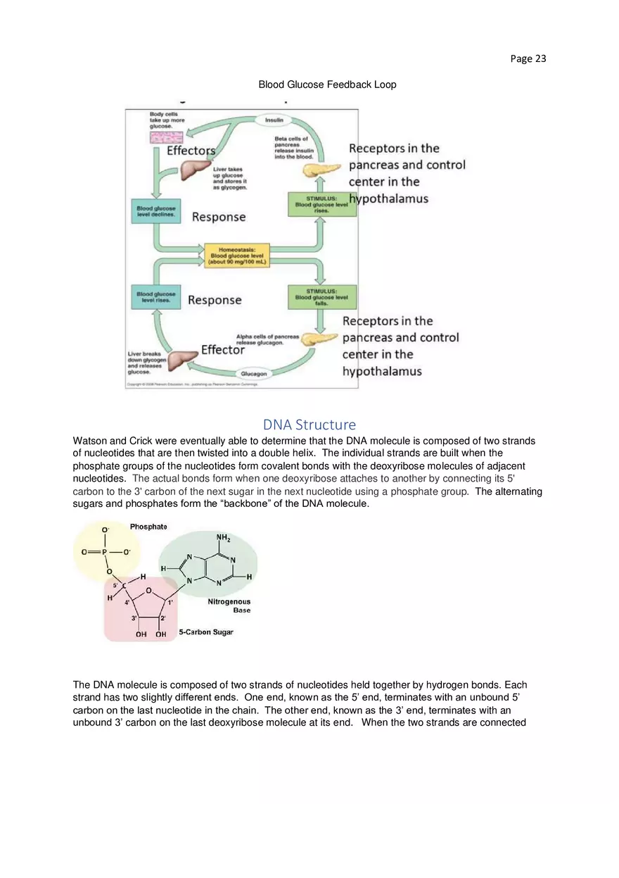Biology Cheat Sheet - Page 16