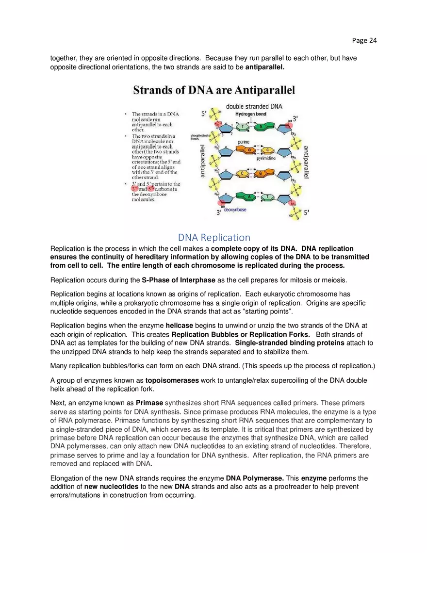Biology Cheat Sheet - Page 17