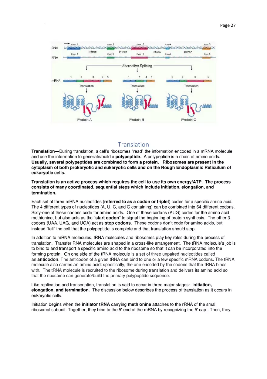 Biology Cheat Sheet - Page 20
