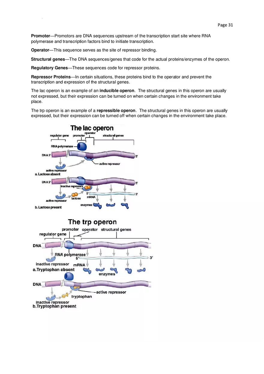 Biology Cheat Sheet - Page 25
