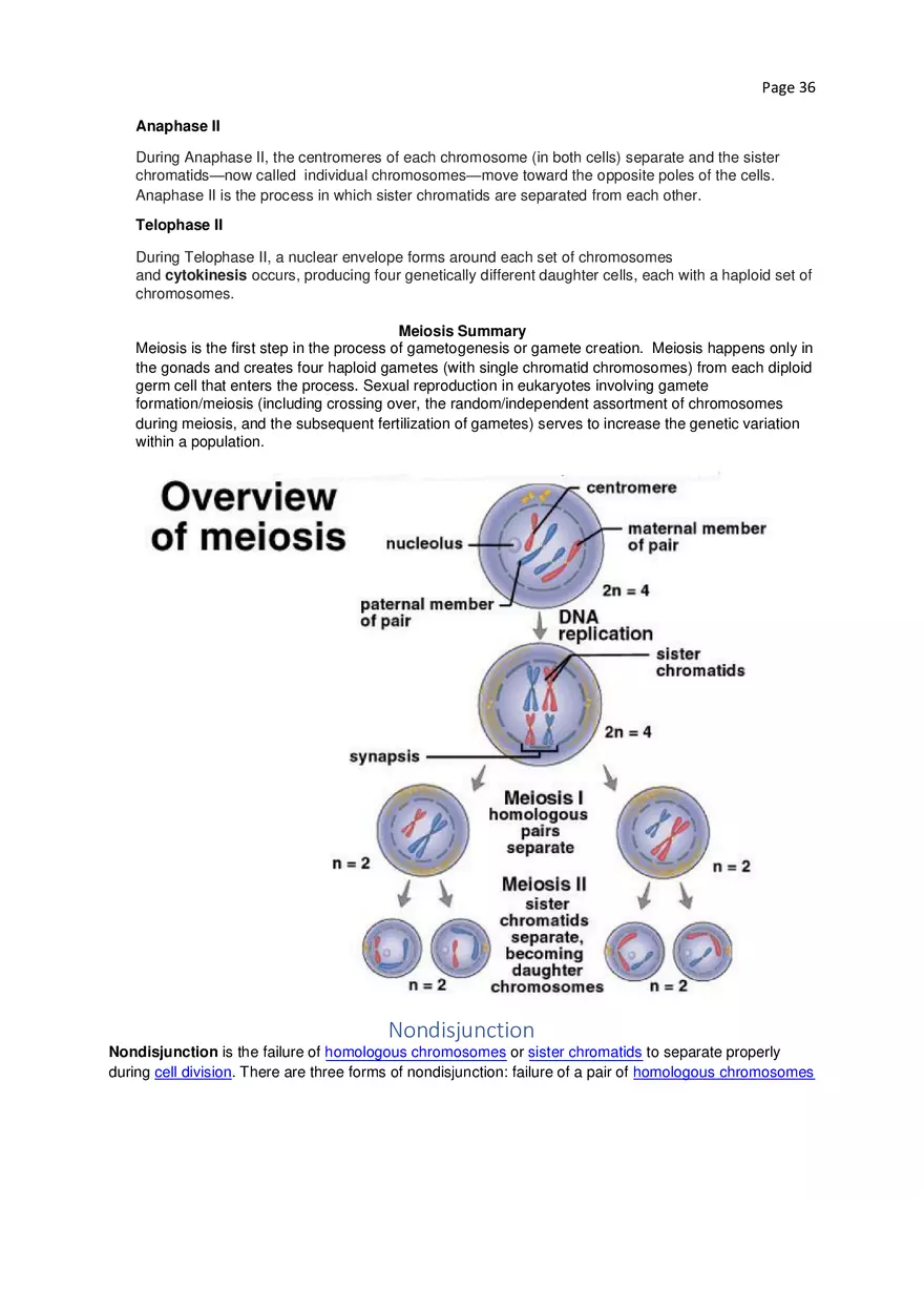Biology Cheat Sheet - Page 30