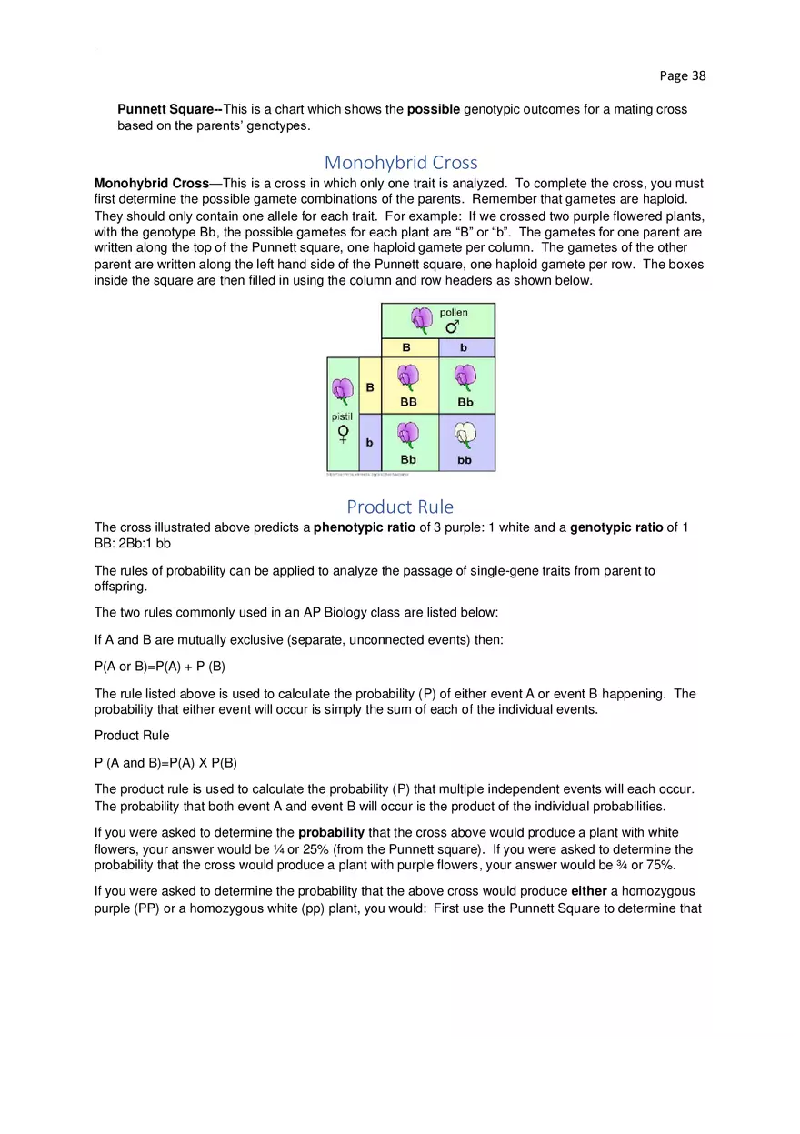 Biology Cheat Sheet - Page 32