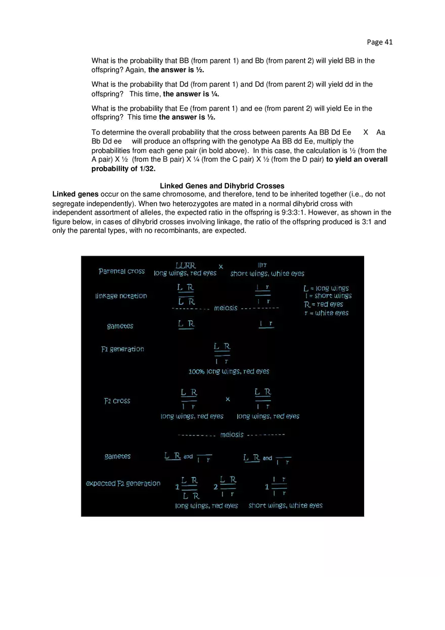 Biology Cheat Sheet - Page 36