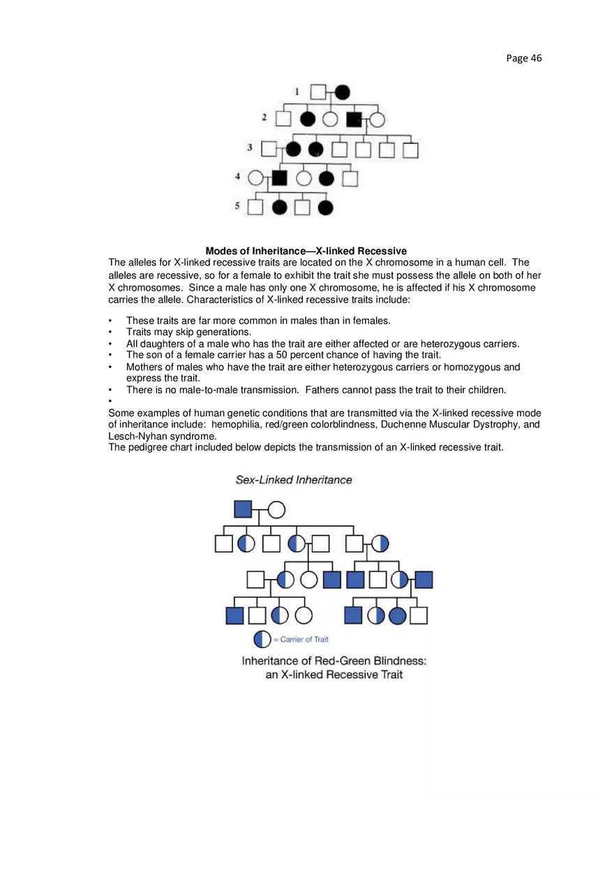 Biology Cheat Sheet - Page 41