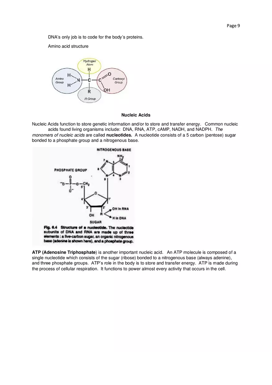 Biology Cheat Sheet - Page 47