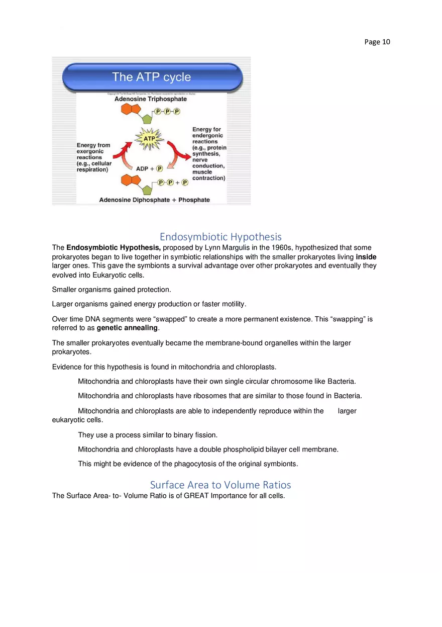 Biology Cheat Sheet - Page 48