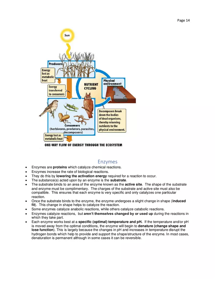 Biology Cheat Sheet - Page 6