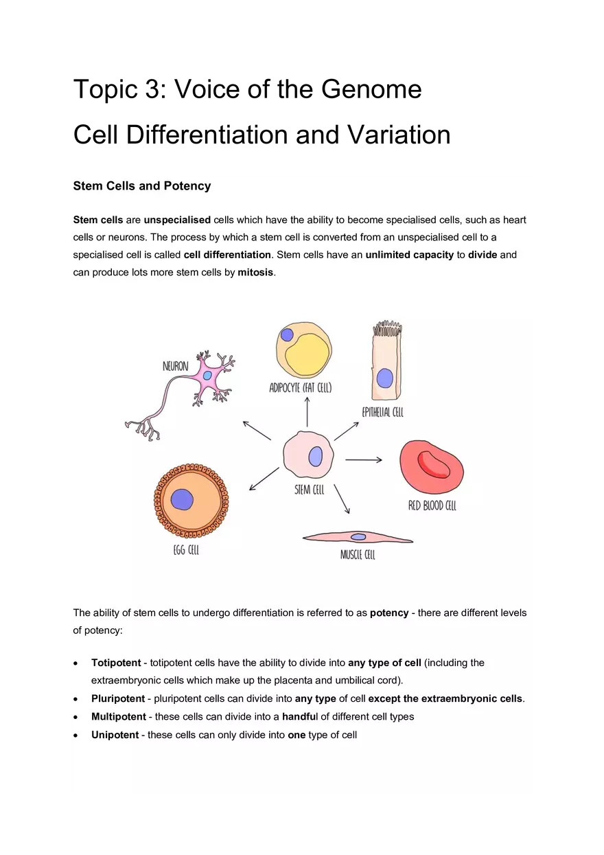 Topic 3: Cell Differentiation and Variation - Page 1