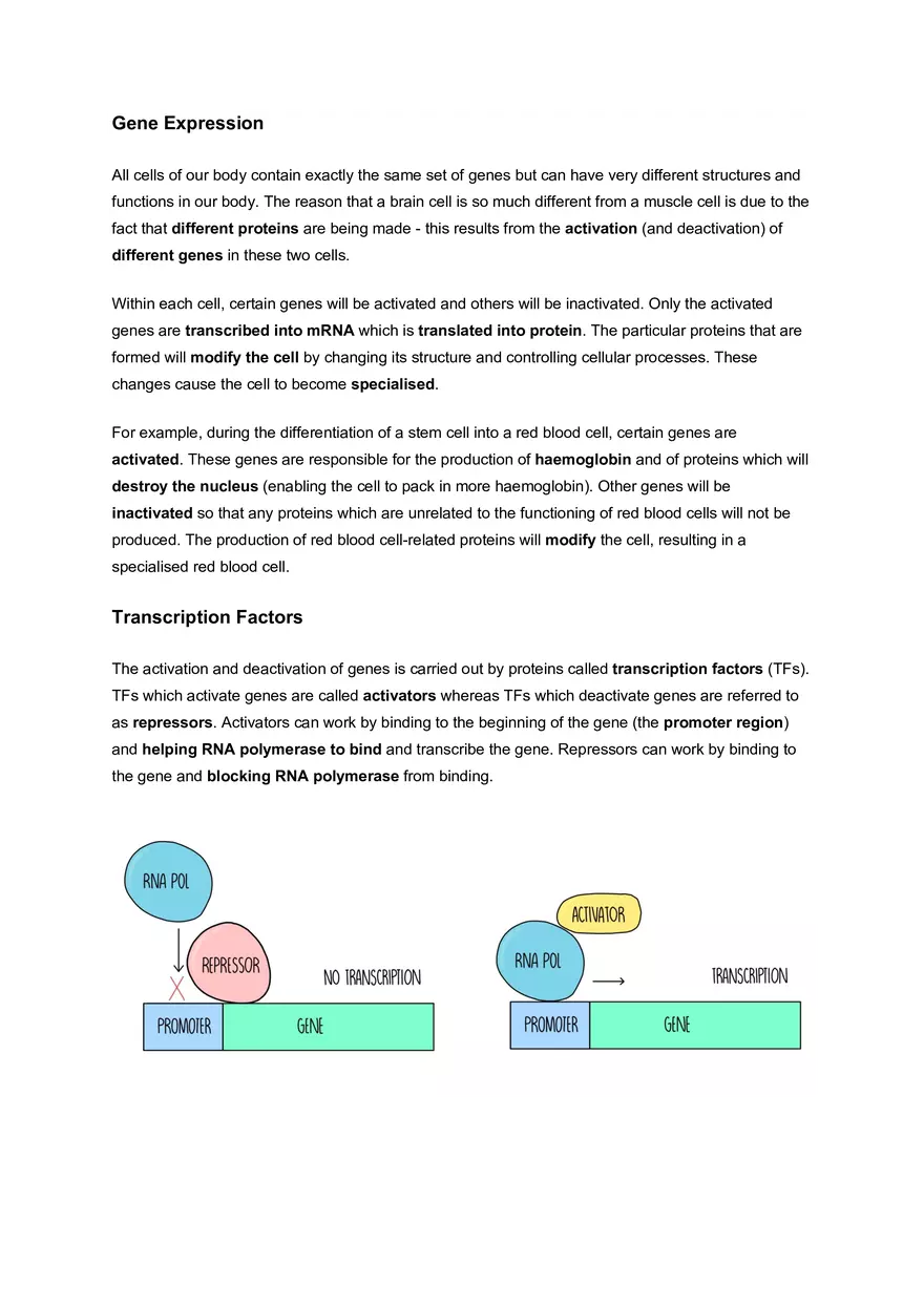 Topic 3: Cell Differentiation and Variation - Page 2