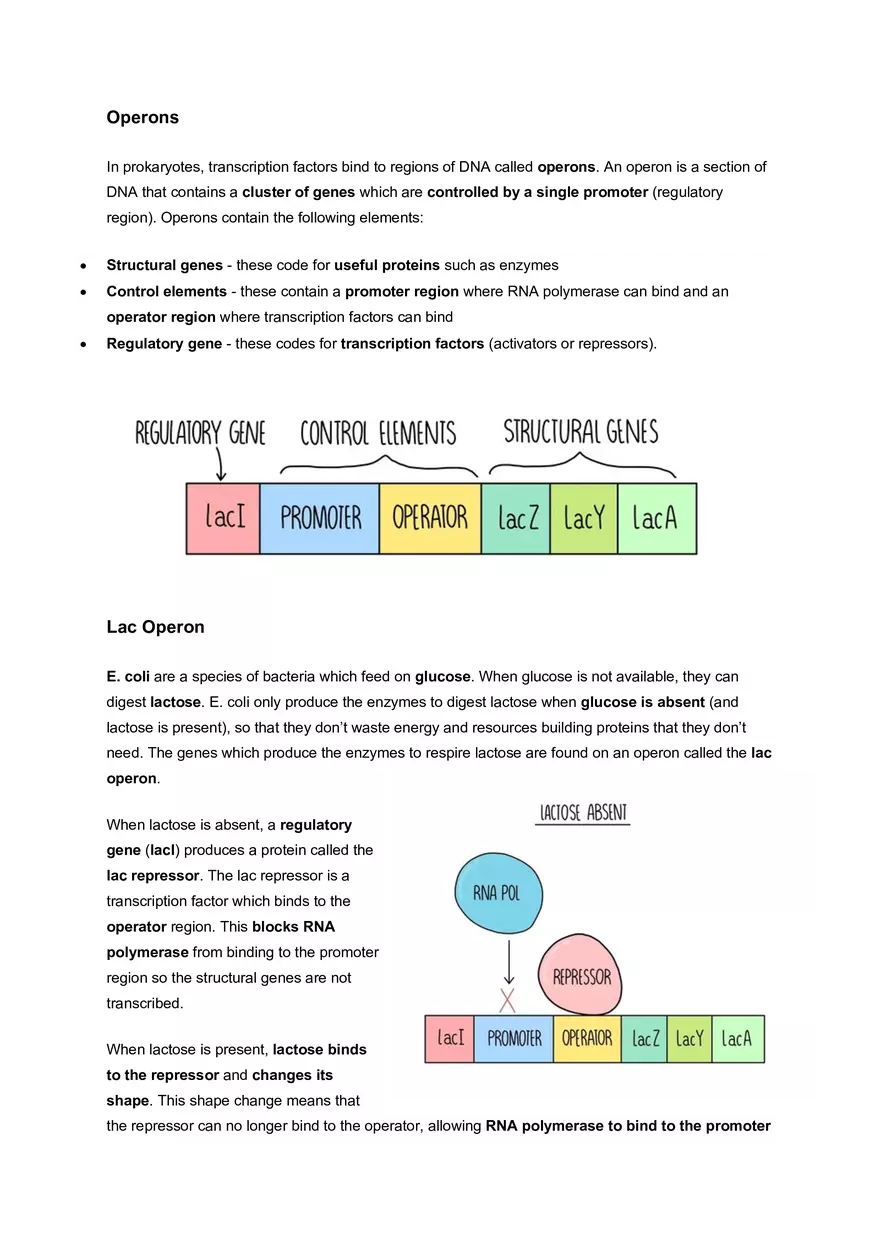 Topic 3: Cell Differentiation and Variation - Page 3