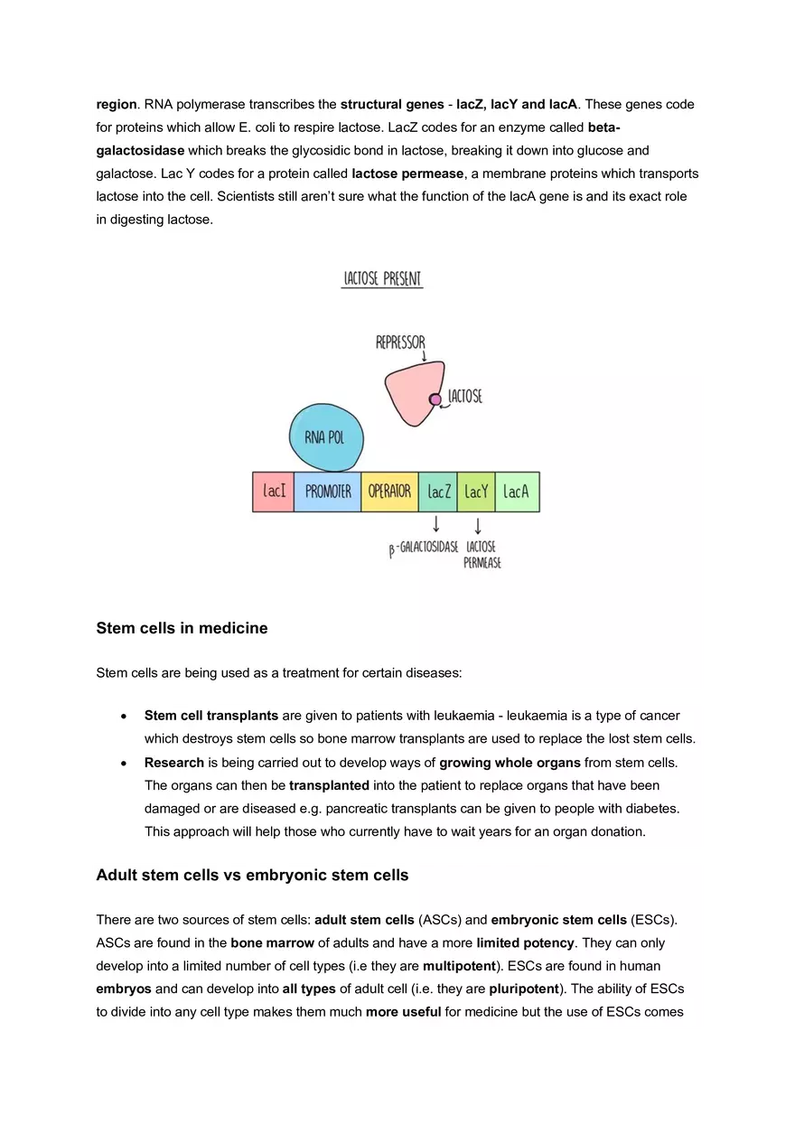 Topic 3: Cell Differentiation and Variation - Page 4