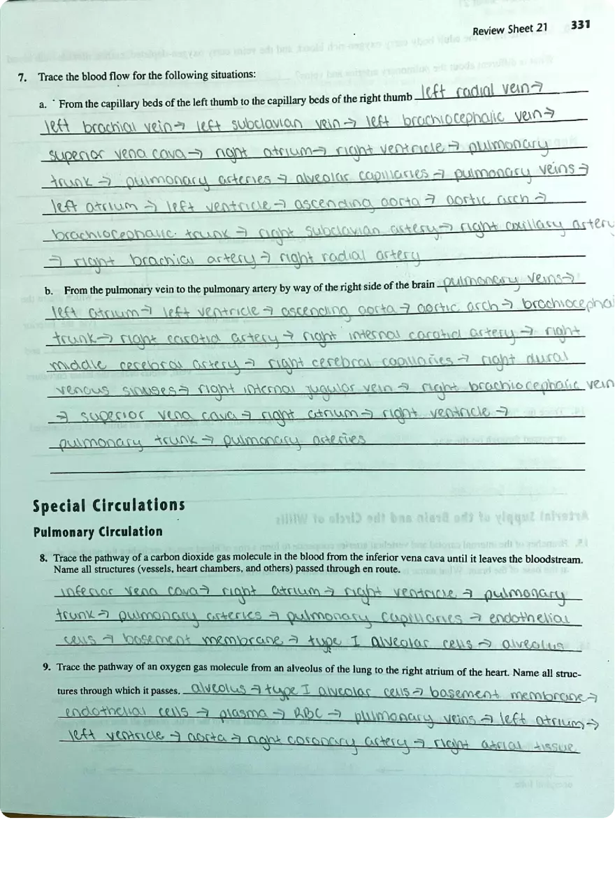 Review Sheet Exercise 21 Anatomy of Blood Vessels - Page 5