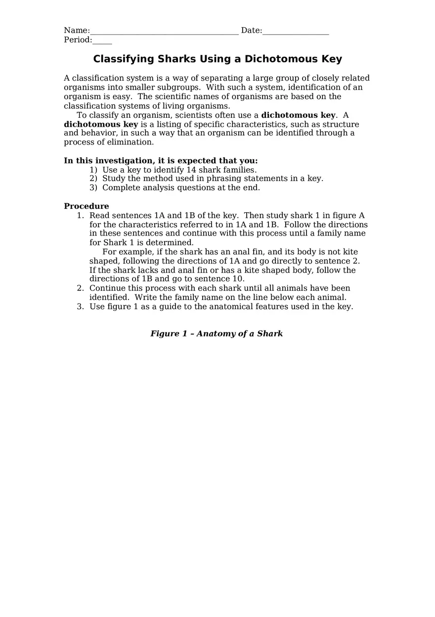 Classifying Sharks Using a Dichotomous Key - Page 1