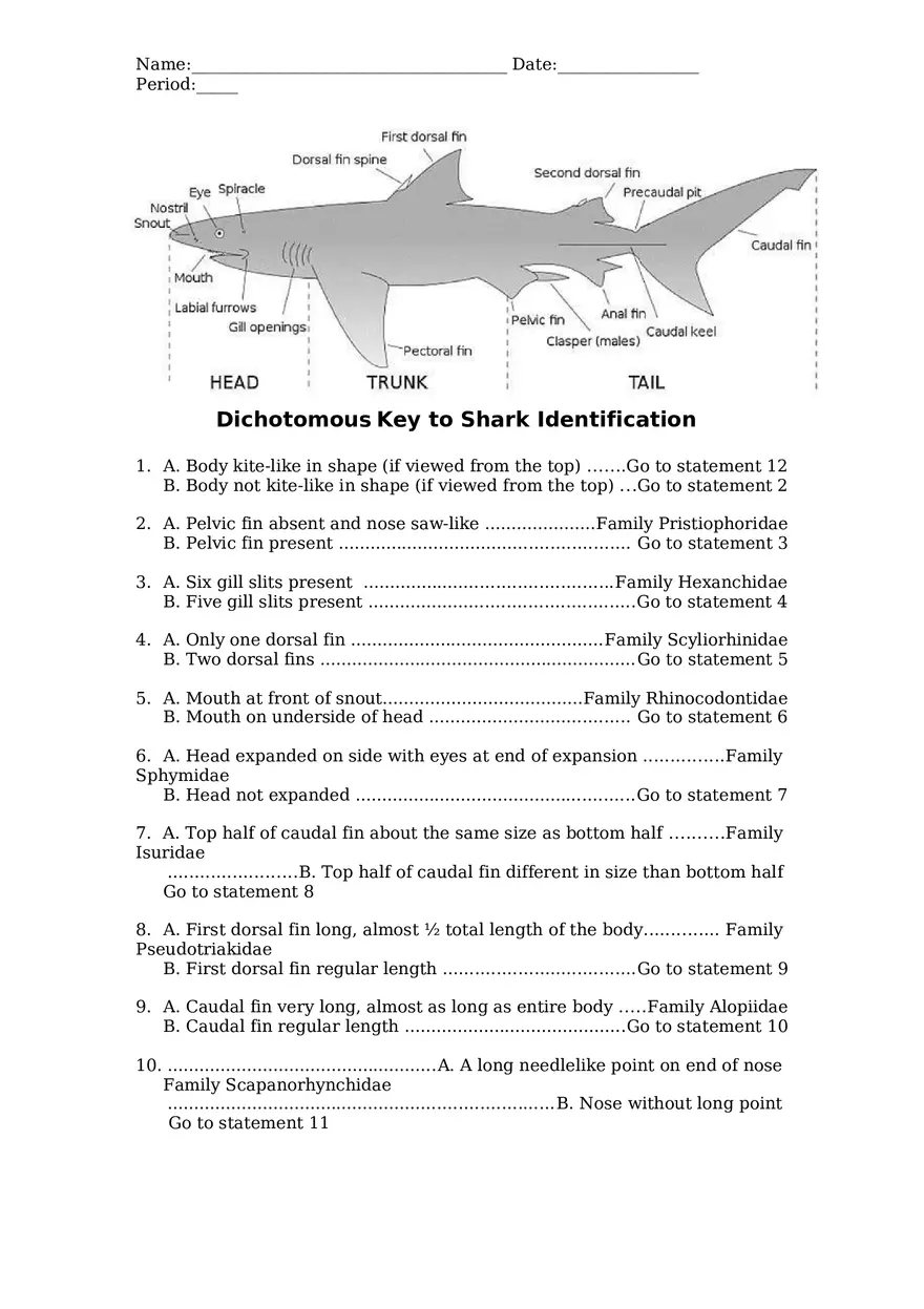 Classifying Sharks Using a Dichotomous Key - Page 2