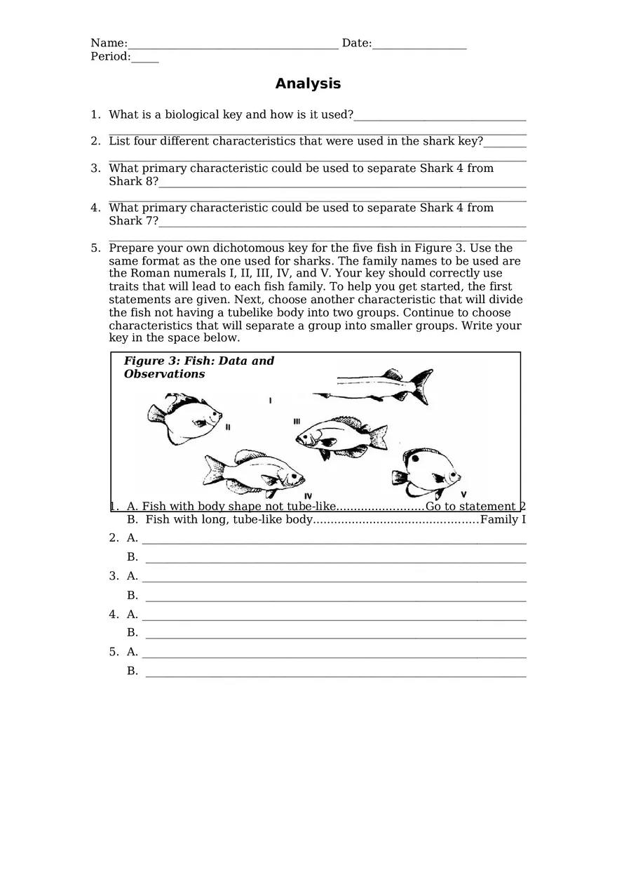 Classifying Sharks Using a Dichotomous Key - Page 5