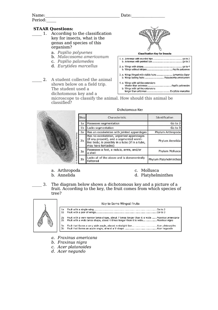 Classifying Sharks Using a Dichotomous Key - Page 6