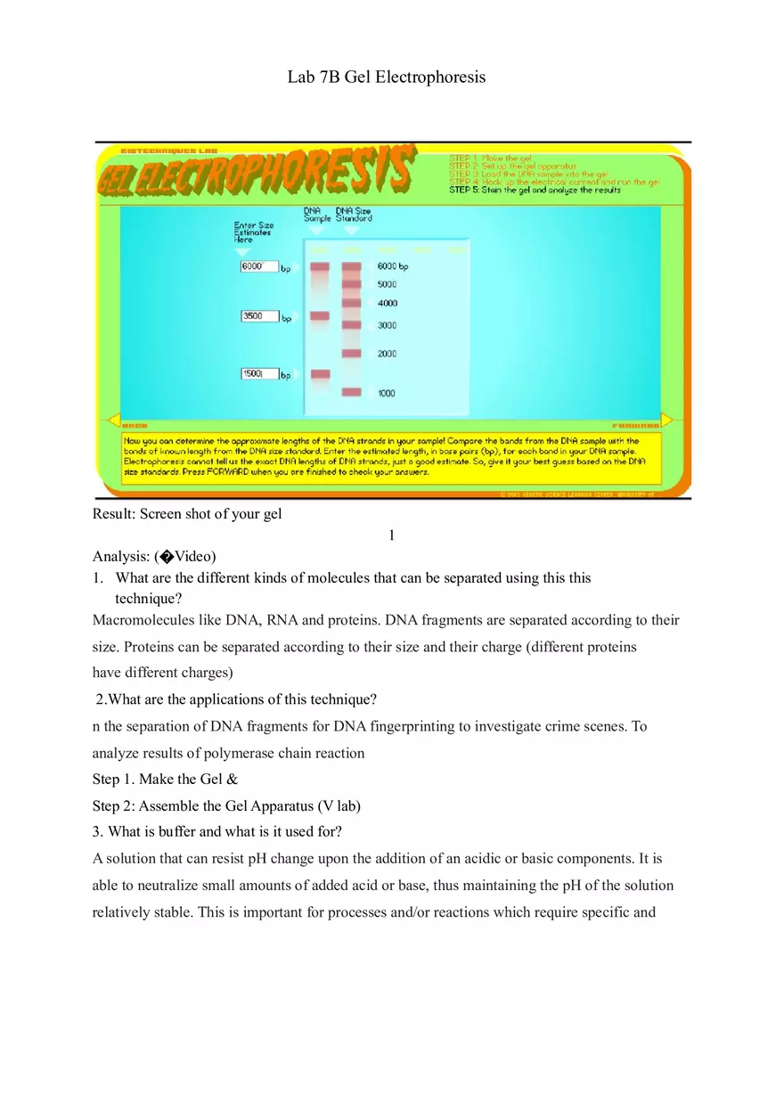 Lab 7B Gel Electrophoresis - Page 1