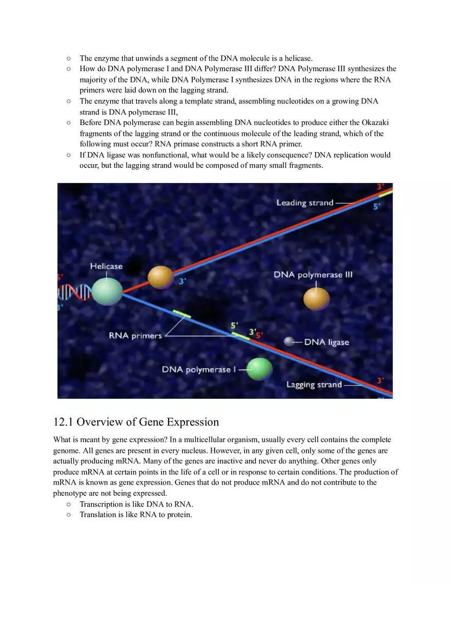 The Enzyme That Unwinds a Segment of the DNA Molecule Is - Page 1