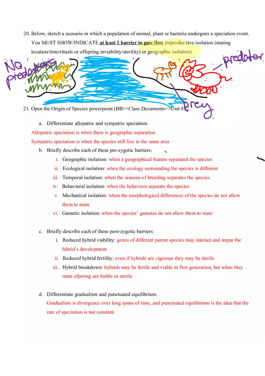 Speciation Webquest - Page 3