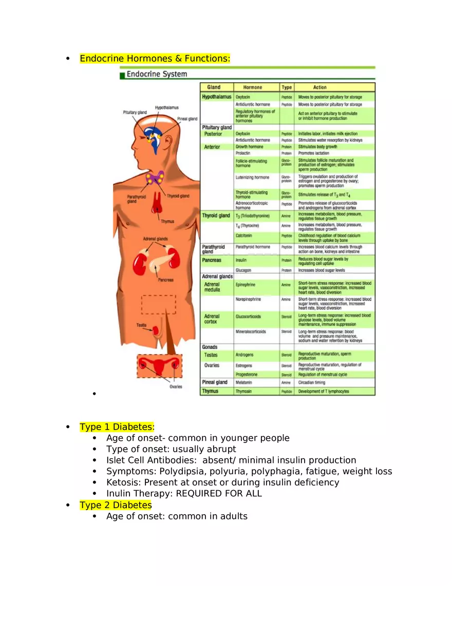 Endocrine Hormones & Functions - Page 1