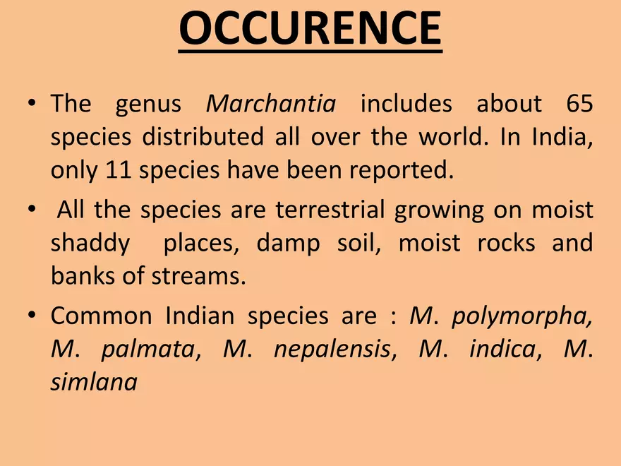 Marchantia - Study Presentation - Page 13