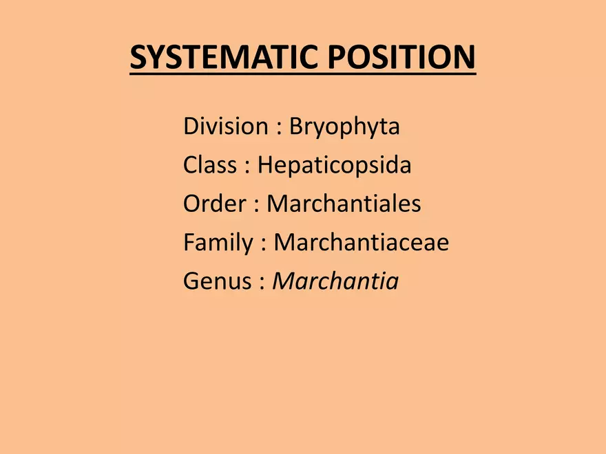 Marchantia - Study Presentation - Page 2
