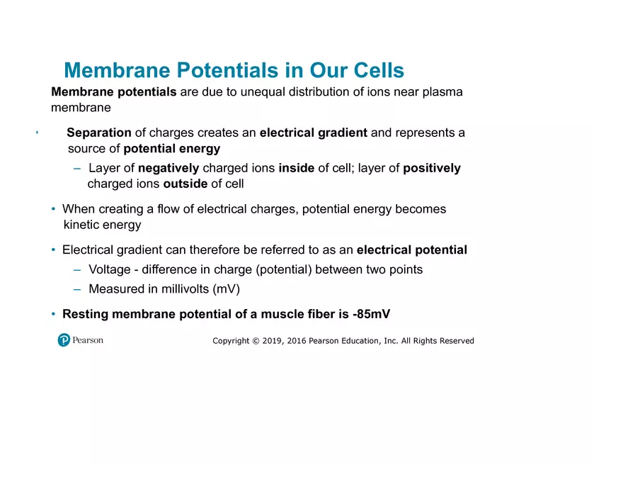 Lab 9: Muscle Physiology and Introduction to the Muscular System - Page 8