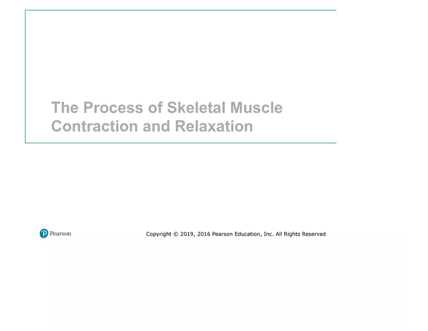 Lab 9: Muscle Physiology and Introduction to the Muscular System - Page 12