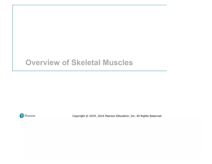 Lab 9: Muscle Physiology and Introduction to the Muscular System - Page 21
