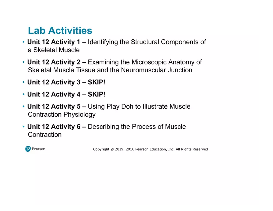 Lab 9: Muscle Physiology and Introduction to the Muscular System - Page 31