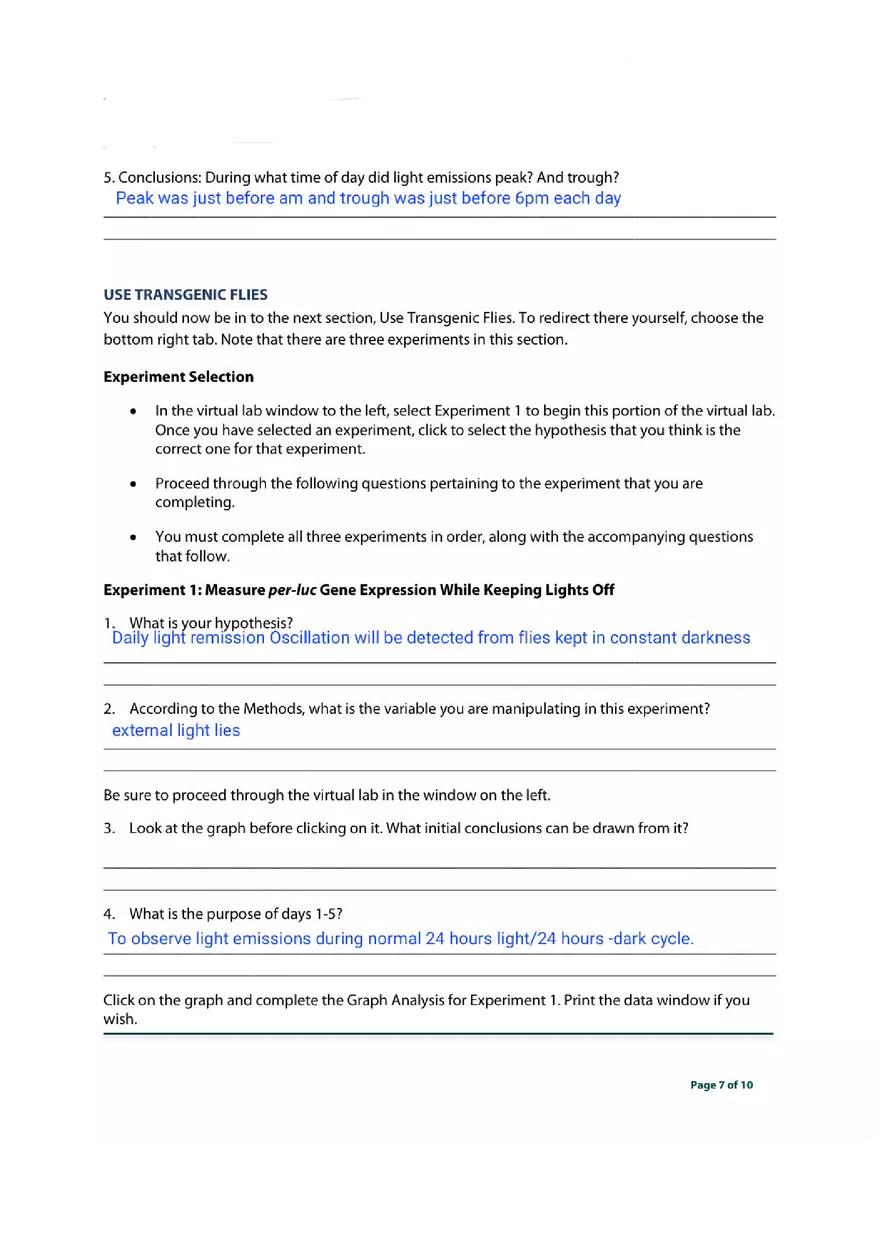 Transgenic Fly Virtual Lab - Page 7