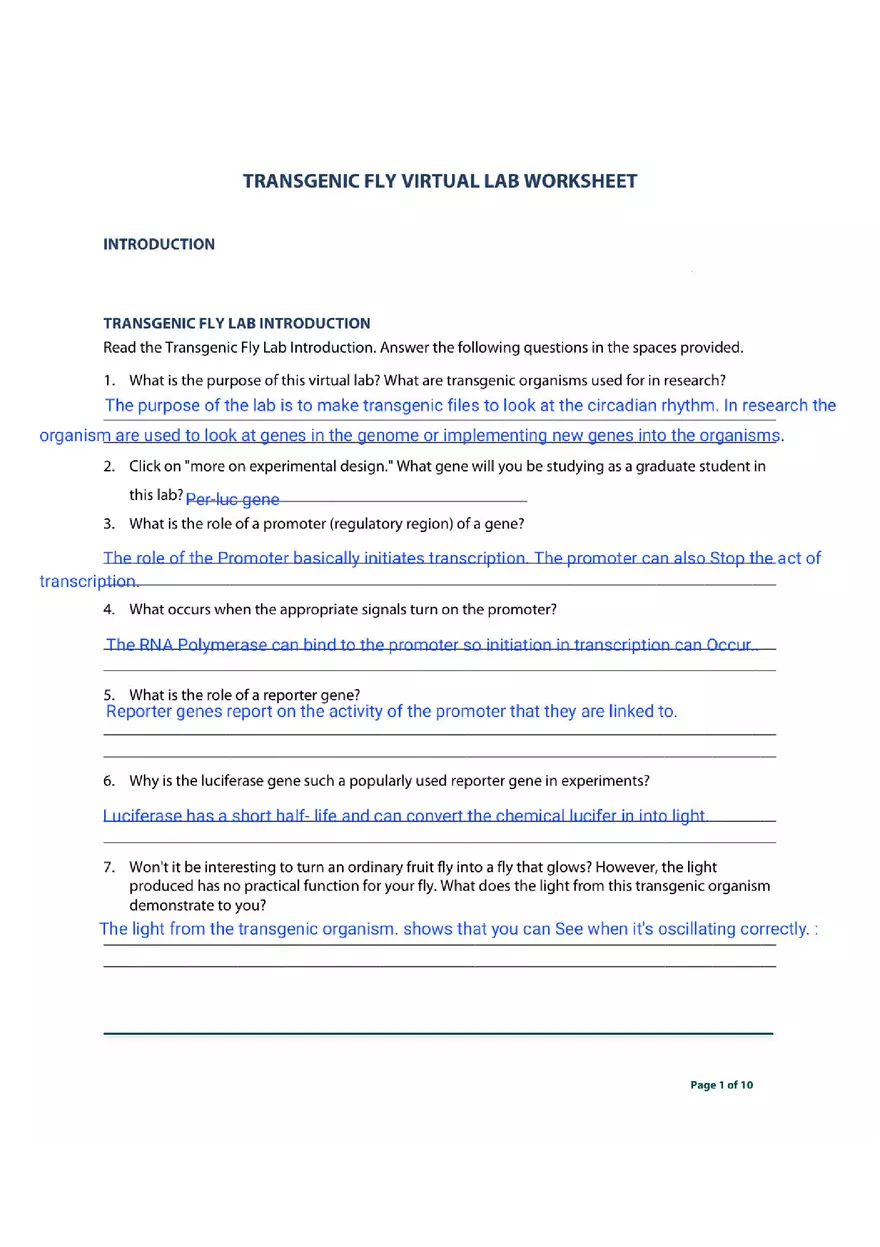 Transgenic Fly Virtual Lab - Page 1