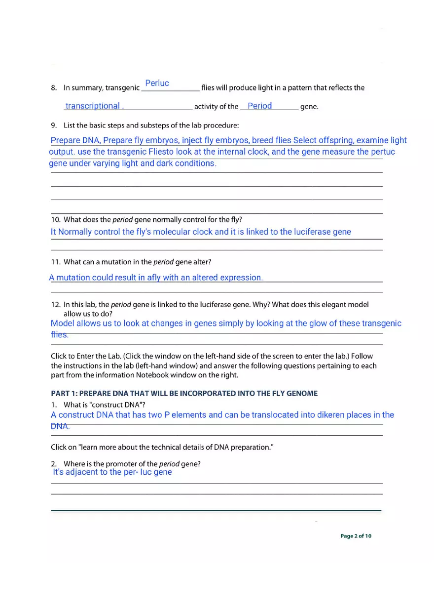Transgenic Fly Virtual Lab - Page 2