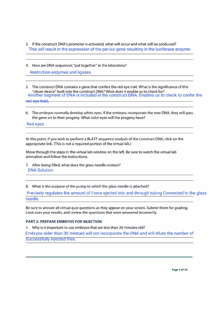 Transgenic Fly Virtual Lab - Page 3
