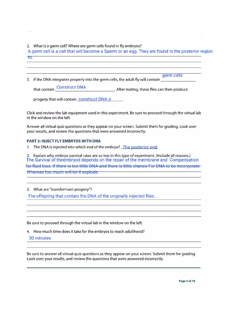 Transgenic Fly Virtual Lab - Page 4