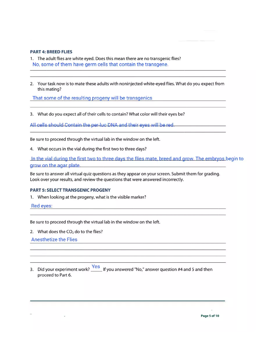 Transgenic Fly Virtual Lab - Page 5