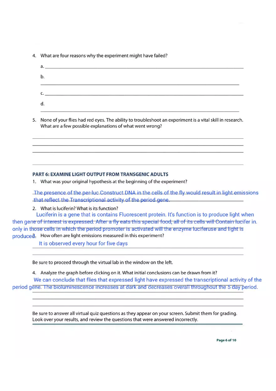 Transgenic Fly Virtual Lab - Page 6