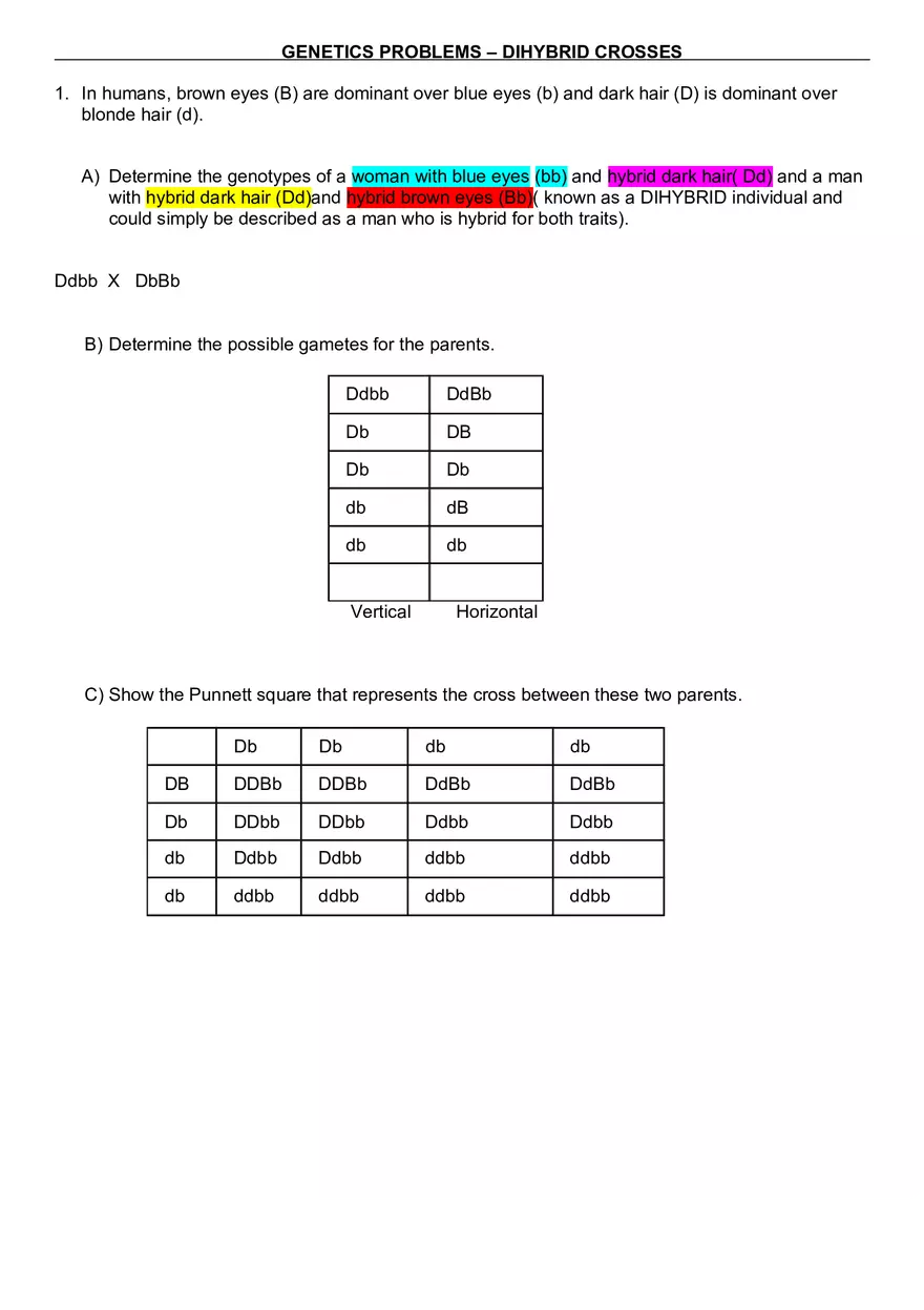 Genetics Problems – Dihybrid Crosses - Page 1