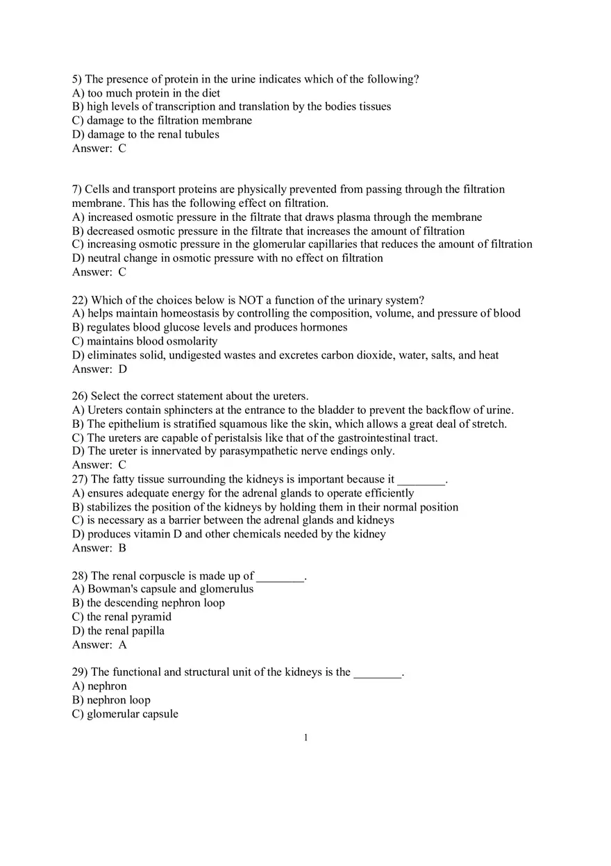 Urinary  System Review Questions - Page 1