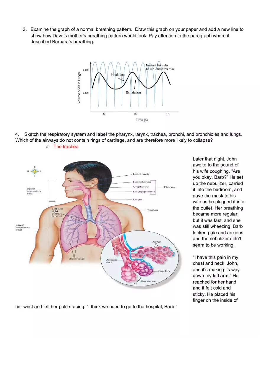 Driving Can Be Dangerous to Your Health  A Case Study in Physiology - Page 2
