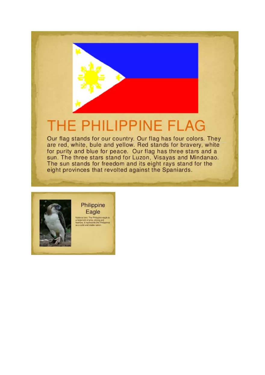 Nationalism and Patriotism - Page 5