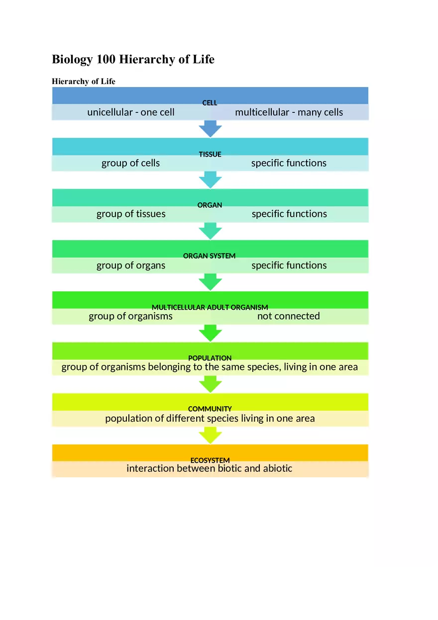 Biology Hierarchy of Life - Page 1